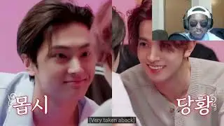 ENHYPEN | My vampire boyfriend Part 1 + 2 (Reaction) Jay the penguin🤣🤣🤣