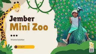 JEMBER MINI ZOO