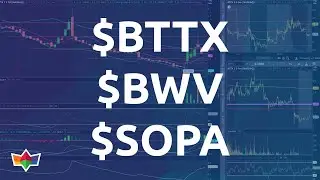 $BTTX $BWV $SOPA Stock Market Recap