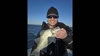 White Bass and Hybrid PB #laketawakoni #fishing