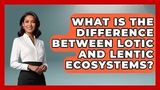 What Is the Difference Between Lotic and Lentic Ecosystems? | The Marine Life Explorer