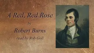 A Red, Red Rose by Robert Burns #100daysofpoetry Poem 25