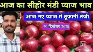 29 December 2025 Sehore Mandi Onion Price Today MP Sehore Mandi Onion Price.