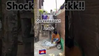 Cambodia Khmer noodle homemade! Organic! %100 #FoodCulture #OrganicCooking #KhmerNoodles #Cambodian