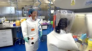 &lsquo;Shocking revelations&rsquo; on gain-of-function research &lsquo;raise questions&rsquo; about CSIRO