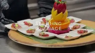 Seedling and Sage: Serving Philly, the Main Line, and beyond