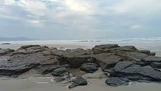 estoy solo