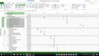 Microsoft Project: Display Summary Tasks in the Resource Usage View
