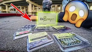 Is This The Best Fishing Kit!? Testing The New Biospawn Box / Fishing Kit From Karls!
