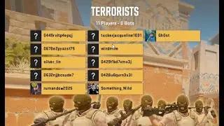 CS2 DM farming bots