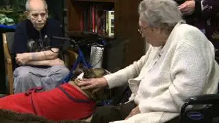 2012 Animal Hall of Fame ~ Rufus