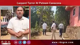 Leopard Terror At Patnem Canacona