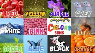 The Colors Song | Learn the Colors | Nursery Rhymes For Kids | LEARN VOCABULARY|Red Red Strawberries