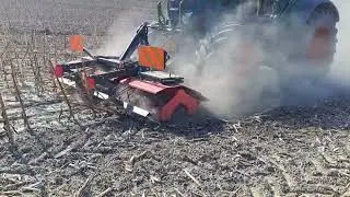 ANGELONI   GREEN CUTTER      TRINCIATURA STOCCHI GIRASOLI  -  CONFRONTO CON DISCHIERA