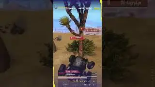 Bgmi sky sports championship #bgmi #esports #teamsoul #blindesport #mortal #scoutop #gameplay