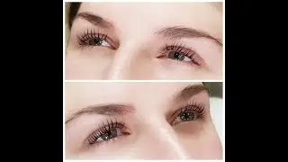 What's The Best Lash Lift?