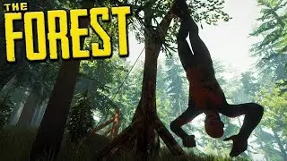THE FOREST