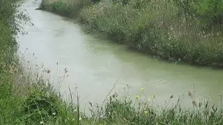 в поисках смысла и просто ни о чем