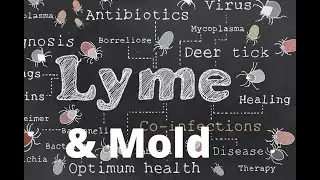 Lyme Disease 101 - Understanding what is real