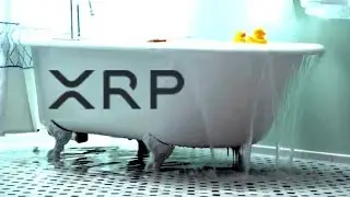 Ripple XRP : It's The Use Case Stupid