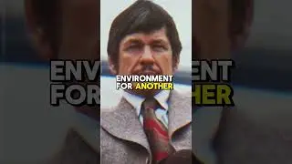 ⛏️ Charles Bronson: From Coal Mines to Hollywood&rsquo;s Most Unbreakable Screen Icon...