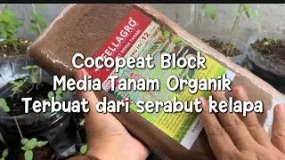 Распаковываем блок Cocopeat, органическую посадочную среду из кокосового волокна