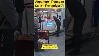 Аэропорт Пулково ❗️ Санкт-Петербург ✈️👮&zwj;♀️🇷🇺🇰🇿🇺🇿🇹🇯🇰🇬😱