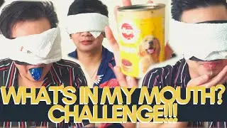 WHAT'S IN MY MOUTH? CHALLENGE!!! | WITH AARON & UPCOMING INTERNET STAR NEIL |