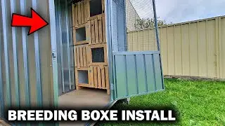 Nest Boxes into Breeding Loft