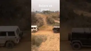 maruti jimny vs mahindra bolero tug of war #music