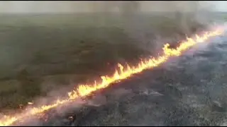 Aerial images show volunteers battling fires in Bolivia | AFP