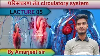 lacture 37//Circulatory system//परिसंचरण तंत्र by Amarjeet sir