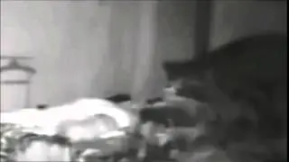 Shadow Figure Captured At Sedamsville Rectory By shabear1000