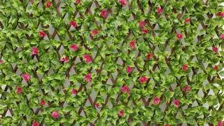 Wallpaper Carpet . Carpets .flooring carpet  wallpaper || 3D wallpaper  HD wallpaper Garass Carpets