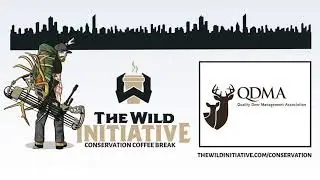 CCB - QDMA Intro