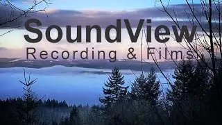 SVR&F 2017 Welcome