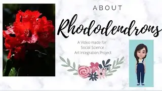 Know about Rhododendrons..| Description of the flower is given by Nidhi |