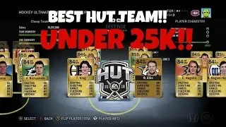 BEST GOALIE IN HUT!! - UNDER 25K INSANE TEAM BUILD!! - NHL 16 ULTIMATE TEAM