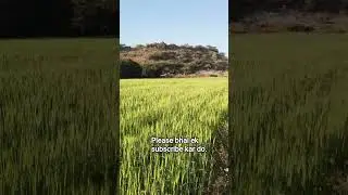 😱 Yeh Video Aakhir Tak Dekhna Padega | Viral Video#viral #trending #farming #kisan #desi
