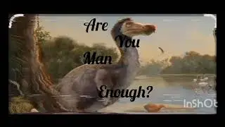 Hey humanity...Do you still remember them?#Paleontology#Prehistoric#Extict#Dodobird#History
