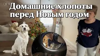 Деревенские будни перед Новым годом!уборка дома и наша елочка!