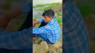 Toolwiz Photo Editing Tutorial || #shorts