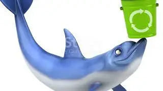 Dolphin Hero! Daisy Saves the Day