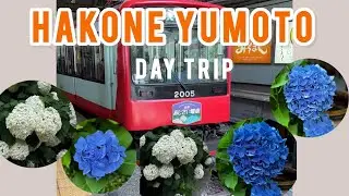 What to do in Hakone Yumoto | Hakone Hydrangea Train | Food trip #hakoneajisaidensha #traveljapan