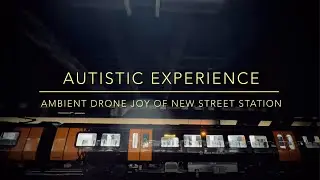 Autistic Experience - Ambient Drone Joy of Birmingham New Street Station