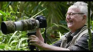 Birding in the South Indian Jungles.