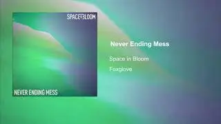 Space in Bloom - Never Ending Mess (Official Audio)
