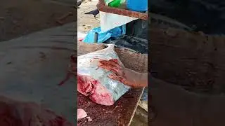 How to Slice Diamond Trevally Fish in Perfect Way| Fastest Cutting Skills