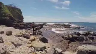 Mudjimba Island Adventure With Davide Marotta  | Dive Sunshine Coast QLD