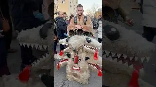 Pernik &lsquo;25 #shorts #survafestival #bulgarianculture #festival #masquerade #folklore #culture #masks
